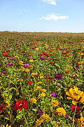 《未上锁的房间》厂商VR新作《Ghost Town》公布